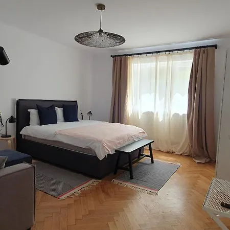 アパート The Pines Serviced ブラショフ