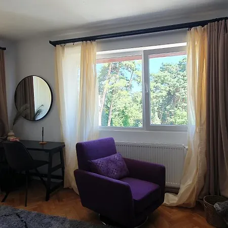The Pines Serviced Brasov