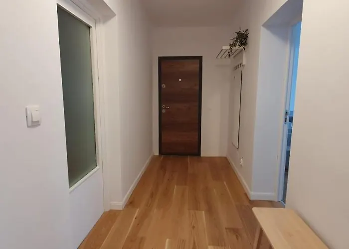 アパート The Pines Serviced ブラショフ