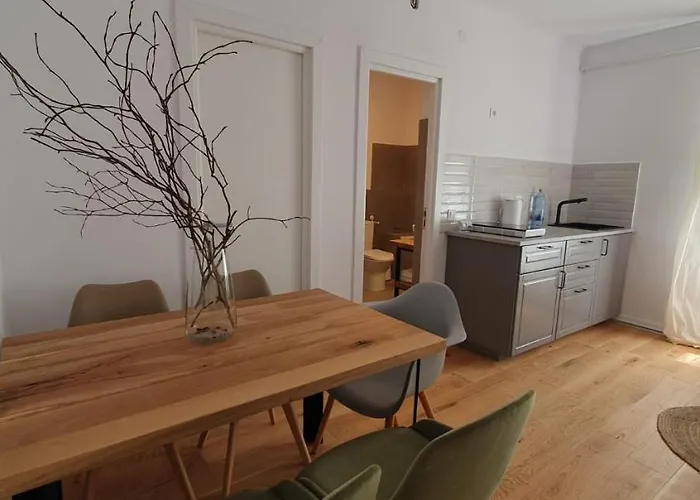 The Pines Serviced Braşov