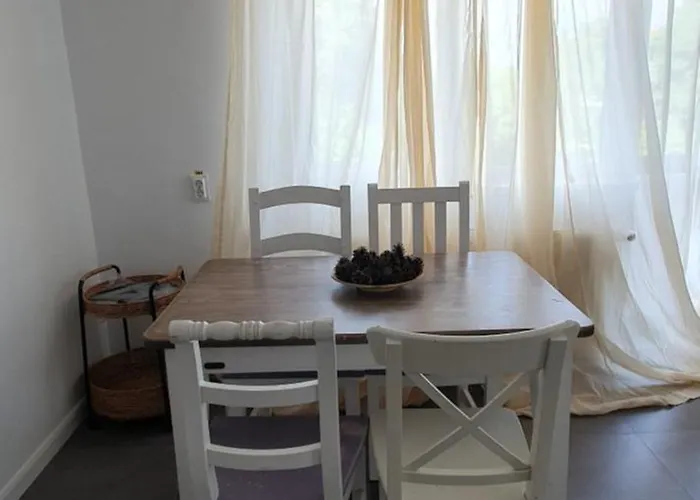 Appartamento The Pines Serviced Braşov