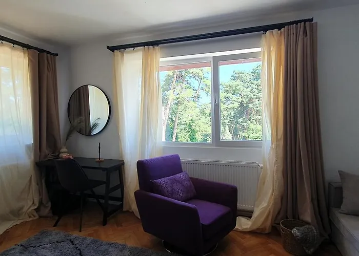 The Pines Serviced Braşov