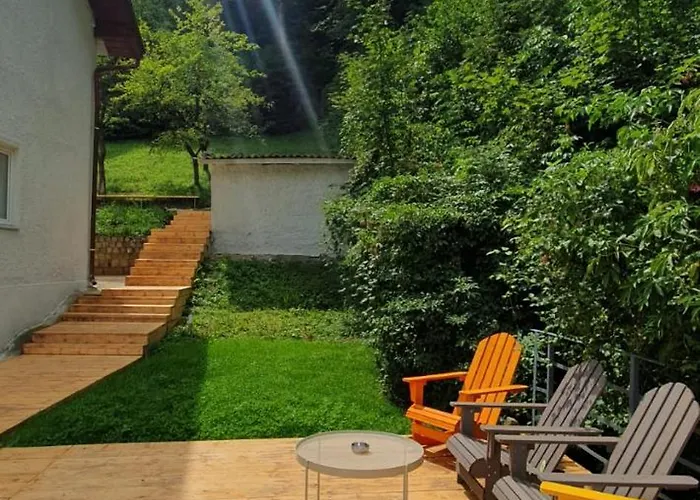 The Pines Serviced * Braşov