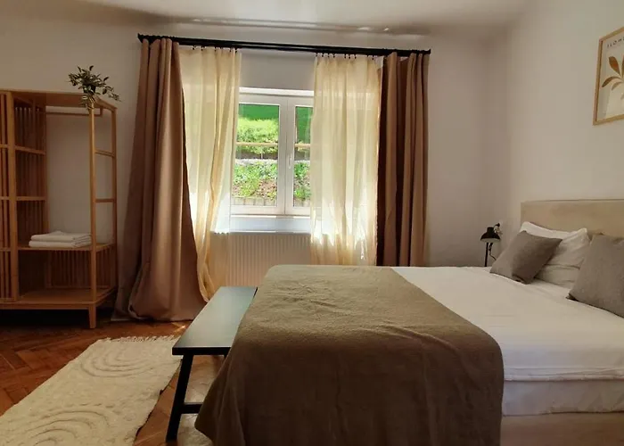 The Pines Serviced Appartamento Braşov